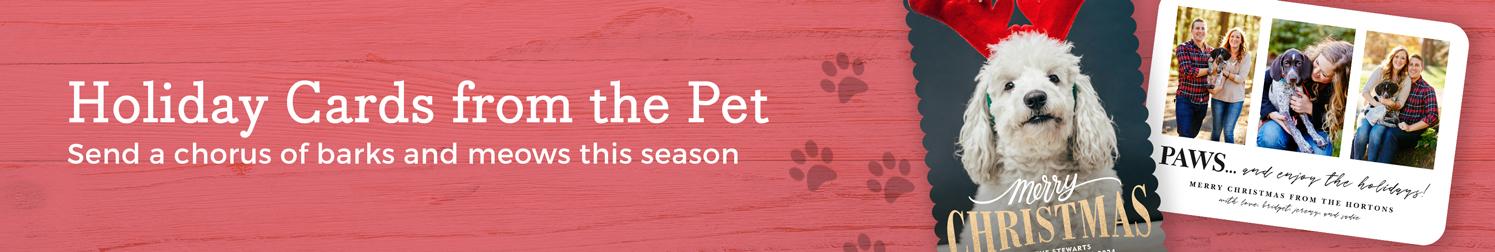 Pet Christmas Cards Pet Christmas Cards